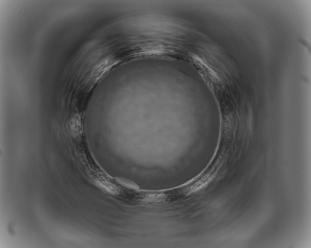X0000096631353200802191147