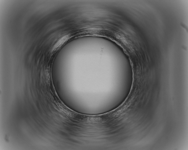 X0000096631354200802191147
