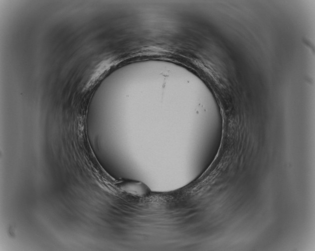 X0000096631355200802191147