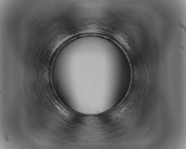 X0000096631356200802191147