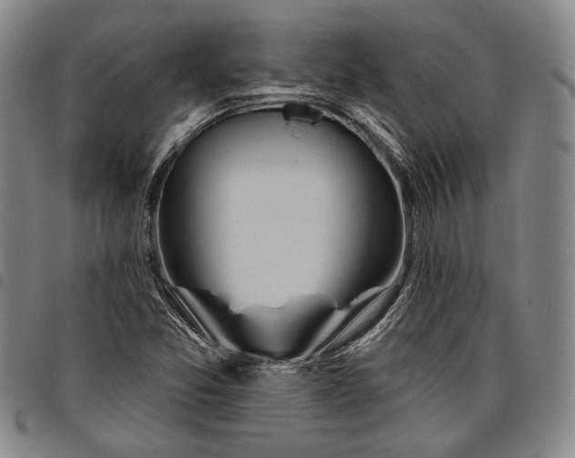 X0000096631357200802191147