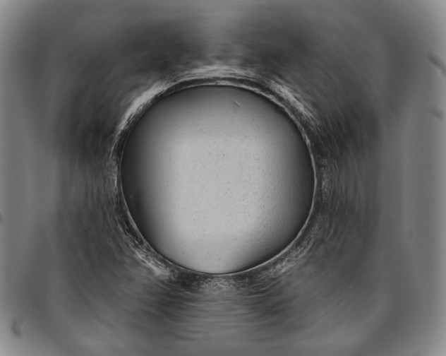 X0000096631358200802191147