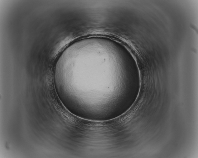 X0000096631359200802191147