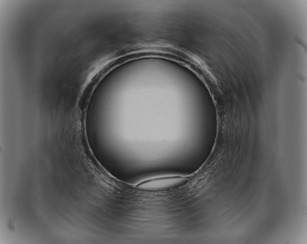 X0000096631360200802191147