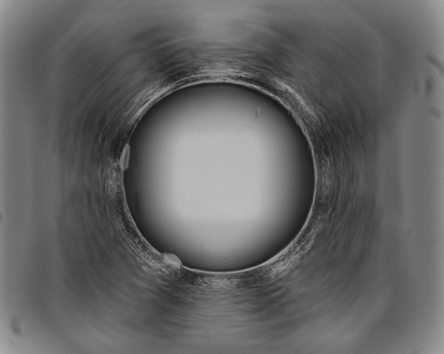 X0000096631361200802191147