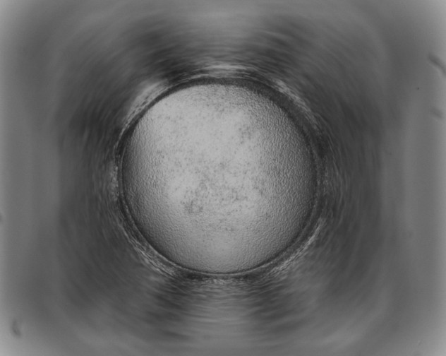 X0000096631362200802191147