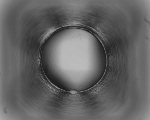 X0000096631363200802191147
