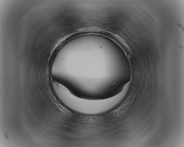 X0000096631364200802191147