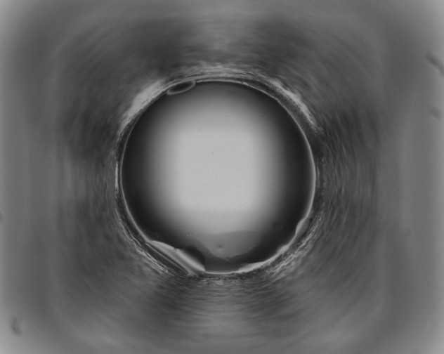 X0000096631365200802191147