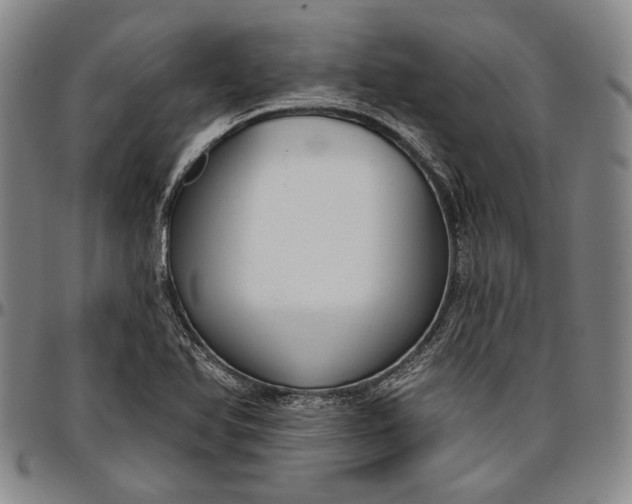 X0000096631366200802191147