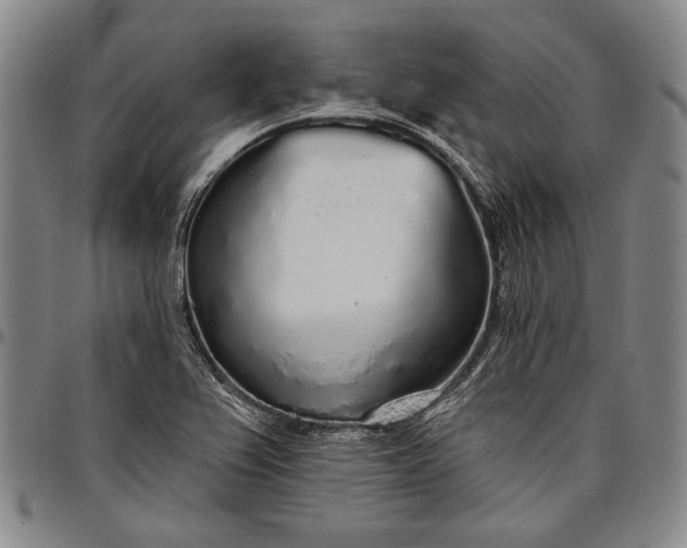 X0000096631367200802191147