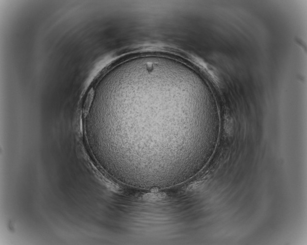 X0000096631368200802191147