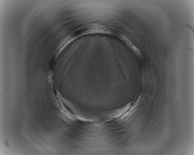 X0000096631369200802191147