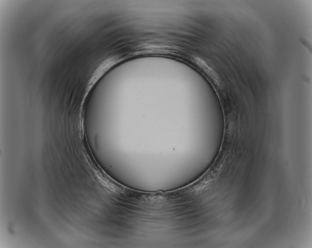 X0000096631370200802191147