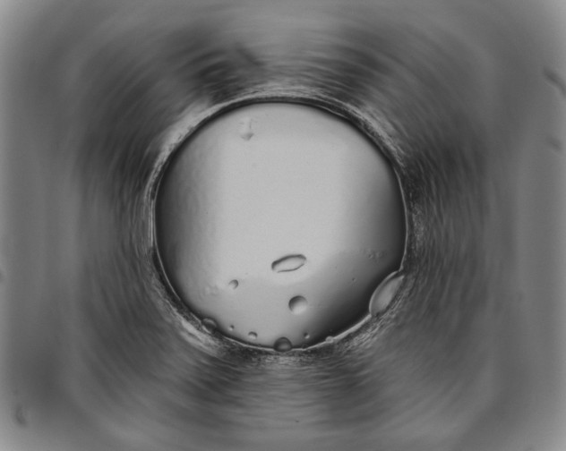 X0000096631371200802191147