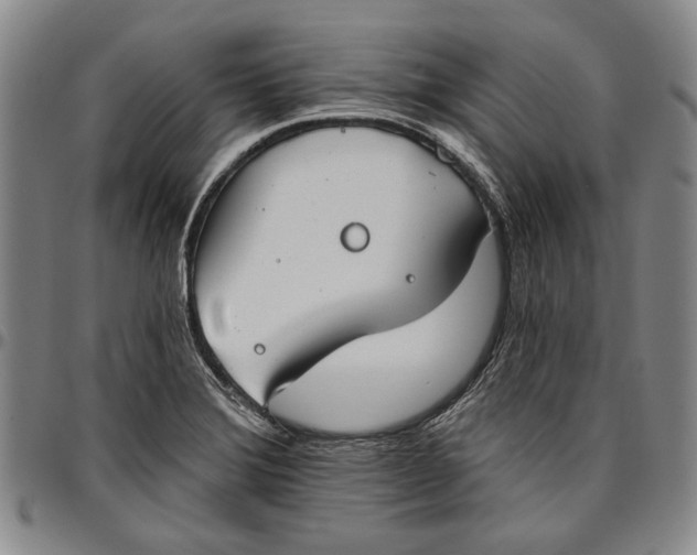X0000096631372200802191147