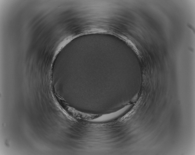 X0000096631373200802191146