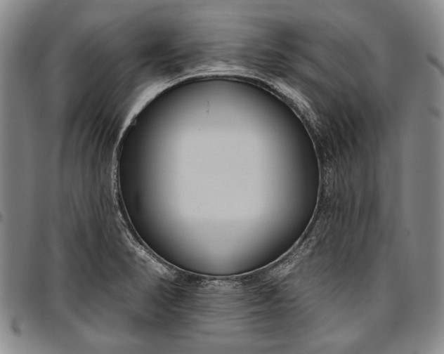 X0000096631374200802191146