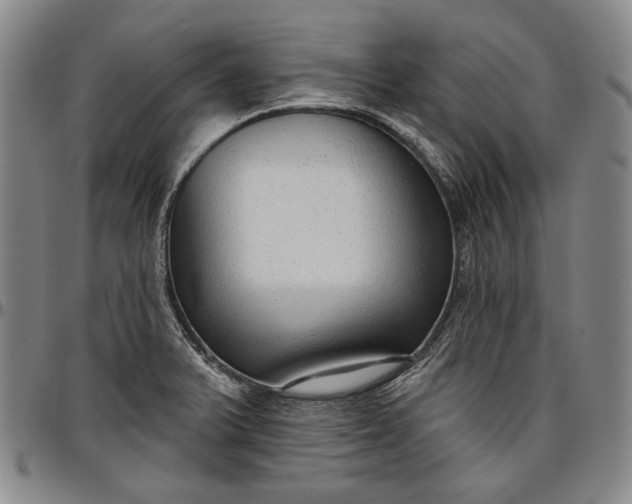 X0000096631375200802191146