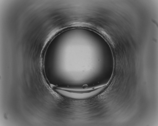 X0000096631376200802191146
