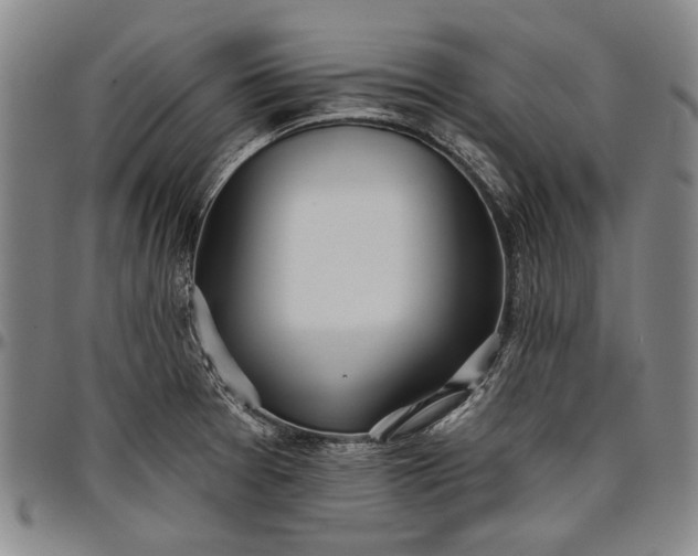 X0000096631377200802191146