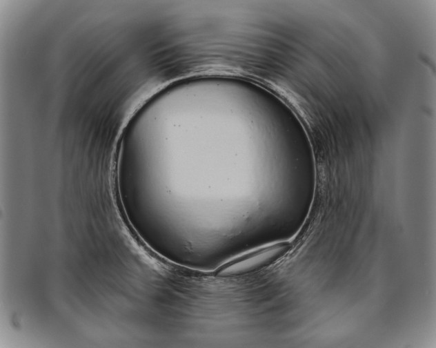 X0000096631379200802191146