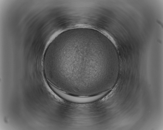 X0000096631381200802191146
