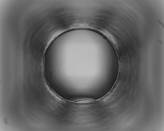 X0000096631382200802191146