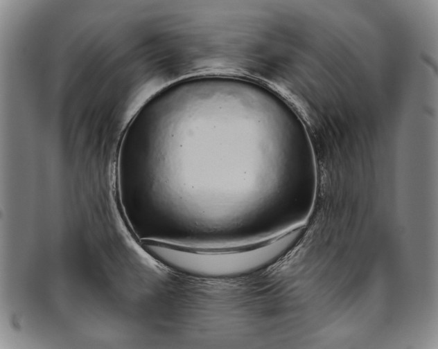 X0000096631383200802191146