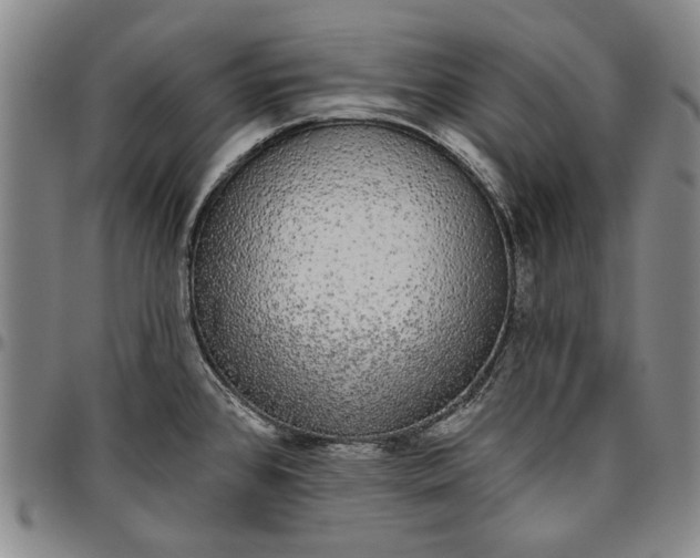 X0000096631384200802191146