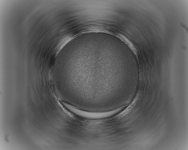 X0000096631385200802191146