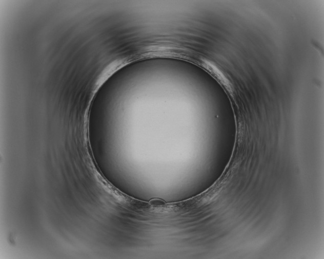 X0000096631386200802191146