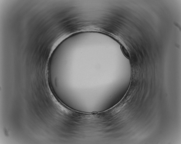 X0000096631387200802191146