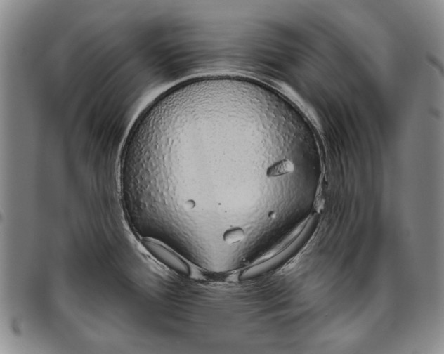 X0000096631388200802191146