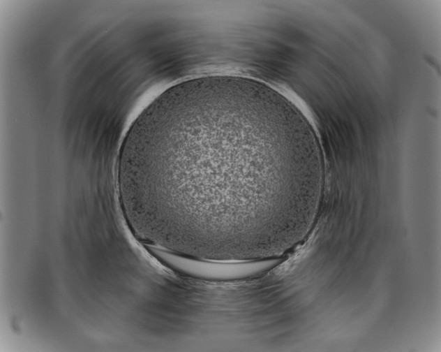 X0000096631389200802191146