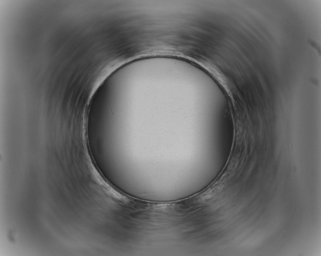 X0000096631390200802191146