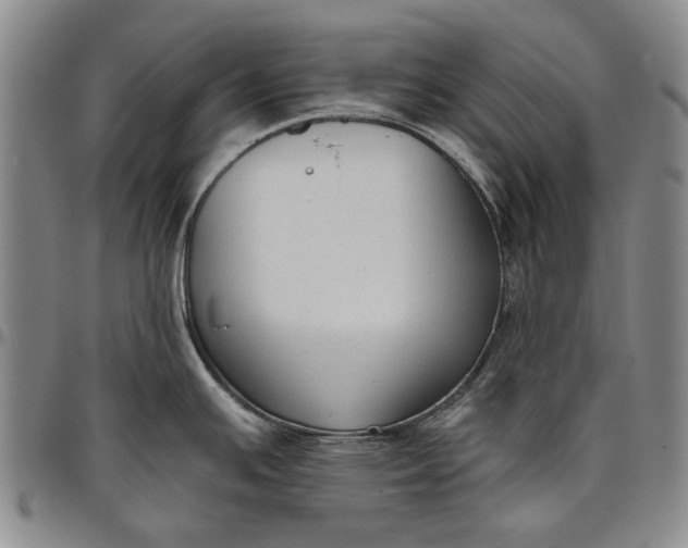 X0000096631391200802191146