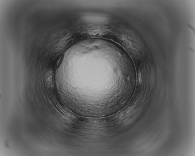 X0000096631396200802191146