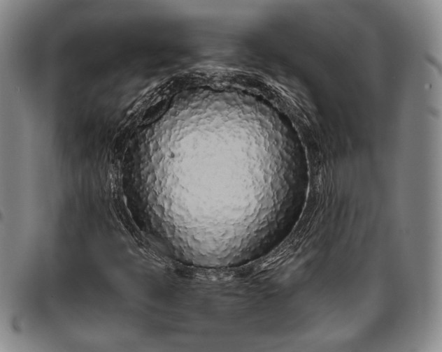 X0000096631397200802191146