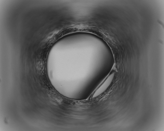 X0000096631398200802191146