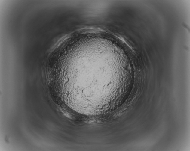 X0000096631399200802191146