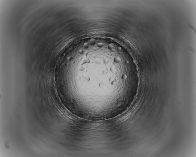 X0000096631401200802191146
