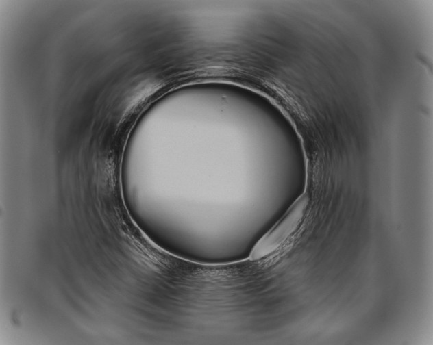 X0000096631402200802191146