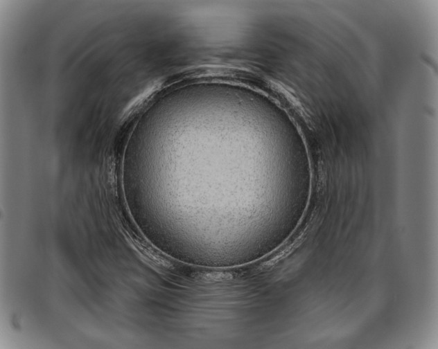 X0000096631403200802191146