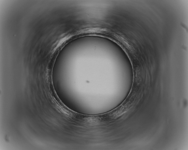 X0000096631404200802191146