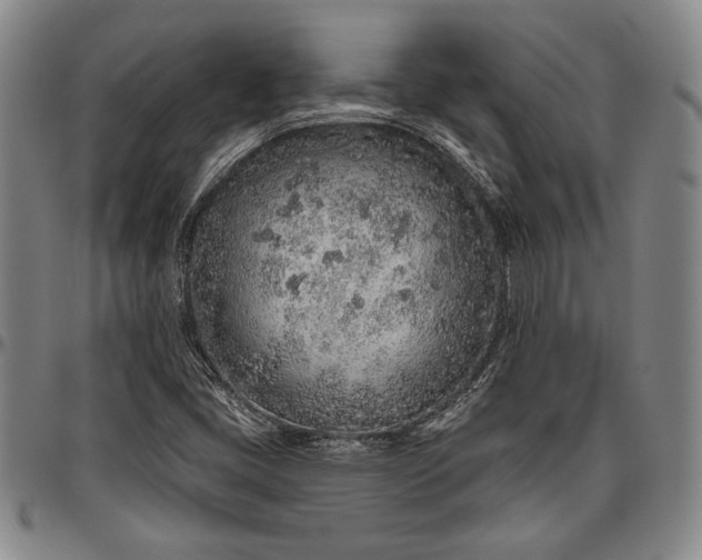 X0000096631405200802191146