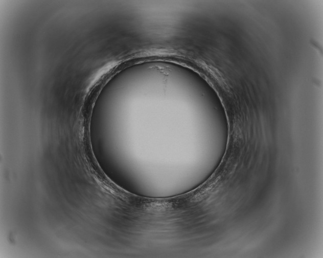 X0000096631406200802191146