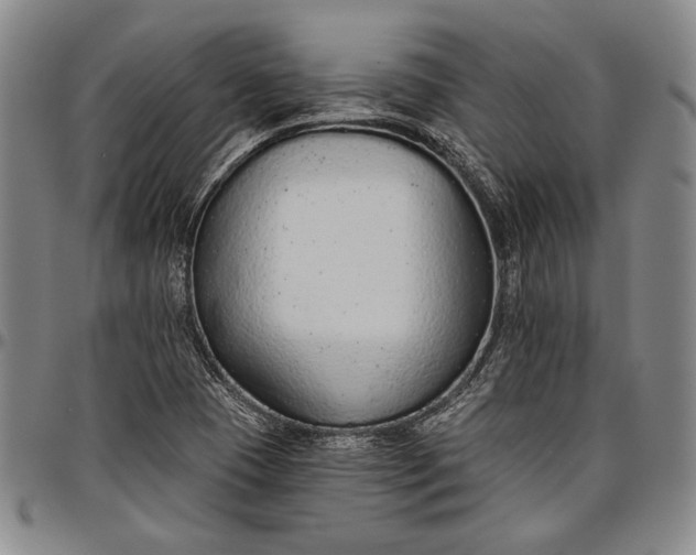 X0000096631409200802191146