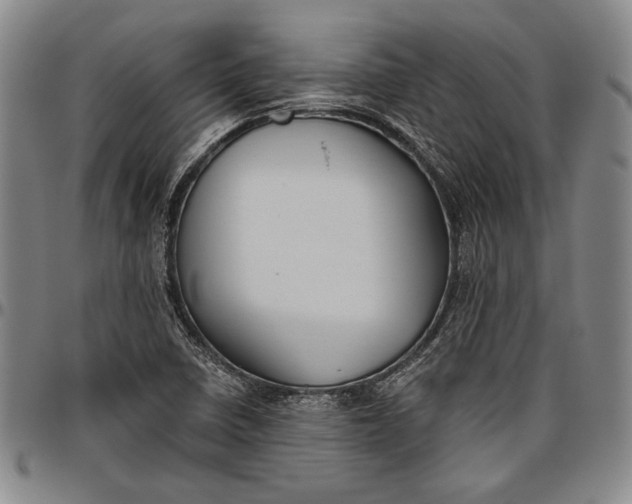 X0000096631410200802191146