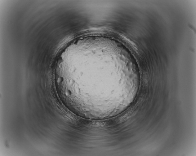 X0000096631411200802191146